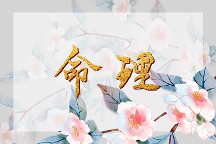 万年历2026日历表,日历黄历,2026万年历日历